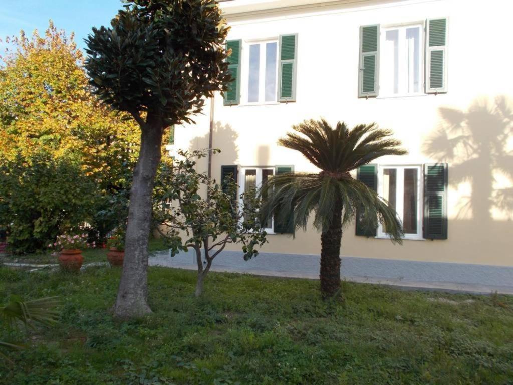 B&B Rossana Carrara Eksteriør billede
